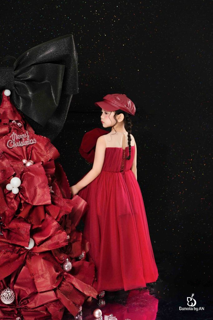 HỒNG TINH DRESS