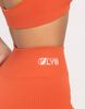 Set đồ tập lửng áo kiểu - LYB CARROT CAPRI SET