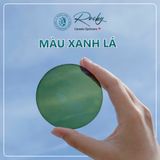  Tròng kính đổi màu Rocky Trendy SGNew 