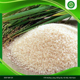  Gạo nếp nương (Cao Bằng) 