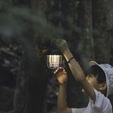  ĐÈN LED CẮM TRẠI MOUNTAINHIKER 