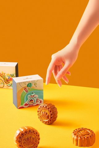  Bánh trung thu vị mơ tây cao cấp 