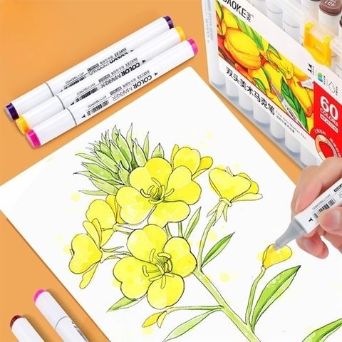  Hộp Bút Dạ màu Marker 2 đầu ngòi 1mm và 6mm Baoke MP2933 - 12/24/36/48/60 màu sản phẩm chính hãng 