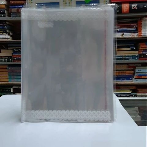  Bọc nylon A4 Hồng Hà 3389 (10cái/tập)(210x297mm)Hàng chính hãng 