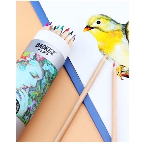  Bút chì màu Baoke PO16 - 36 màu (Lọ) - 12/24/36 màu 