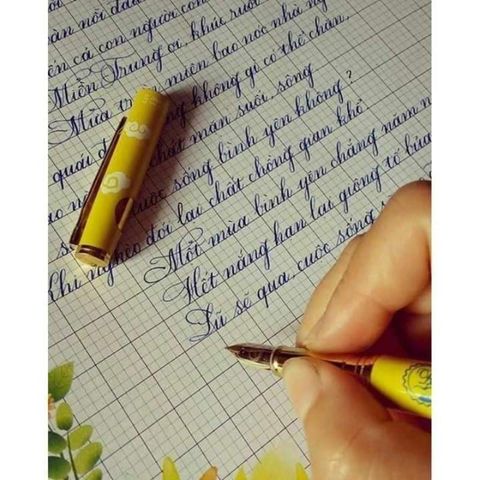  Bút mài thầy Ánh SH023 ngòi thanh đậm nét nhỏ luyện chữ đẹp sản phẩm chính hãng (Giao màu ngẫu nhiên ạ) 