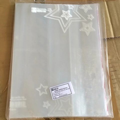  Bọc nylon A4 Hồng Hà 3389 (10cái/tập)(210x297mm)Hàng chính hãng 