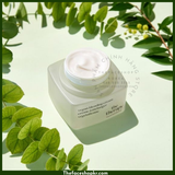  Kem dưỡng ẩm thuần chay The Face Shop The Therapy Vegan Blending Cream 60ml phục hồi chống lão hóa da 