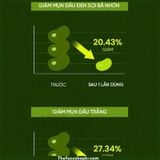  Mặt Nạ Đất Sét Cho Da Dầu Da Lỗ Chân Lông To Mung Bean Beplain Pore Clay Mask 120ml 