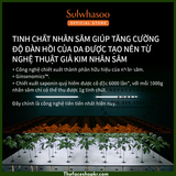  Tinh Chất Nhân Sâm Cải Thiện Nếp Nhăn, Săn Chắc Da - Sulwhasoo Concentrated Ginseng Renewing Serum 5ML 