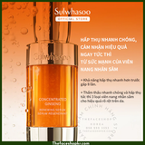  Tinh Chất Nhân Sâm Cải Thiện Nếp Nhăn, Săn Chắc Da - Sulwhasoo Concentrated Ginseng Renewing Serum 5ML 
