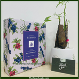  Bộ Chăm Sóc Cơ Thể Sữa Dưỡng Gel Tắm Hương Việt Quất Tươi Mát Beyond Defense Body Set (4 sản phẩm) 