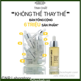  Tinh Chất Keo Ong Tái Tạo Phục Hồi Da CNP Laboratory Propolis Energy Active Ampule 15/30/35ml 