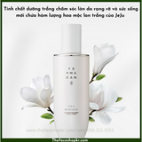  Sữa dưỡng sáng trắng da TheFaceShop YEHWADAM JEJU MAGNOLIA PURE BRIGHTENING EMULSION 140ml 