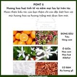  Tinh Chất Dưỡng Tóc Làm Xoăn Tóc THE FACE SHOP Essential Style Up Curling Serum 150ml 