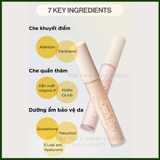  Kem che khuyết điểm The Face Shop ink lasting dark spot concealer 