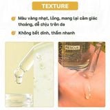  Tinh Chất Keo Ong Cấp Ẩm Phục Hồi Cho Da Dầu Mụn CNP Propolis Rescue Ampule 50ML 