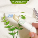  Son dưỡng môi cấp ẩm không màu THEFACESHOP Dr.Belmeur Daily Repair Moisturizing Lip Balm 4g 