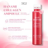  Thực phẩm bổ sung Vital Garden Hanami Collagen Ampoule (25ml x 28 ống (chai)/ hộp) 