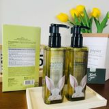  Sữa rửa mặt Thuần Chay Chiết Xuất Thảo Mộc Beyond Phytoganic Facial Foam 200ml 