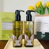  Sữa rửa mặt Thuần Chay Chiết Xuất Thảo Mộc Beyond Phytoganic Facial Foam 200ml 