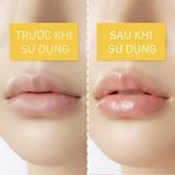  Son dưỡng môi keo ong đa năng phục hồi và giữ ẩm môi kéo dài đến 12 giờ CNP Laboratory Propolis Lipcerin 15ml 