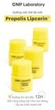  Son dưỡng môi keo ong đa năng phục hồi và giữ ẩm môi kéo dài đến 12 giờ CNP Laboratory Propolis Lipcerin 15ml 