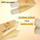  [Hàng Công Ty] Kem chống nắng keo ong cấp ẩm cho da hỗn hợp thiên khô CNP Propolis Moisture Sun 50ml 
