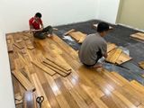 Sàn gỗ Gõ Bông Lào