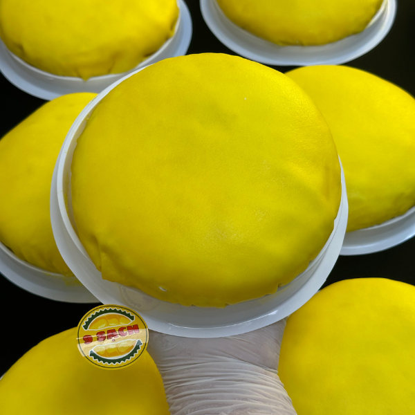  Bánh Sầu Riêng ngàn lớp truyền thống - Size 12cm (400g) 