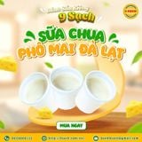  SỮA CHUA PHÔ MAI ĐÀ LẠT 