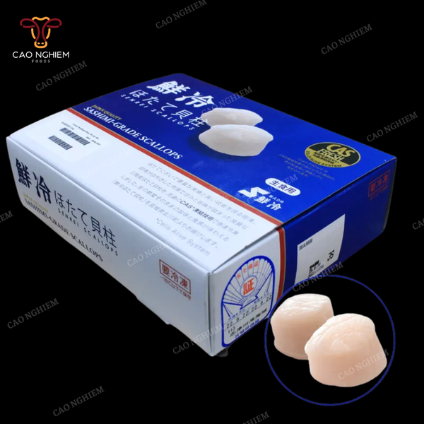  Cồi Sò Điệp Hokaido Nhật 