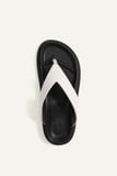  TÔNG SANDALS 
