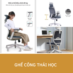Ghế Công Thái Học T21