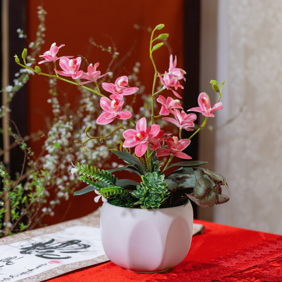  BST LAN - TIỂU HỒ ĐIỆP HỒNG ĐẬM 