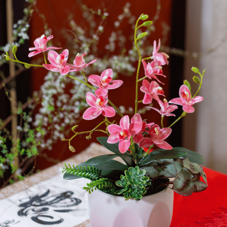  BST LAN - TIỂU HỒ ĐIỆP HỒNG ĐẬM 