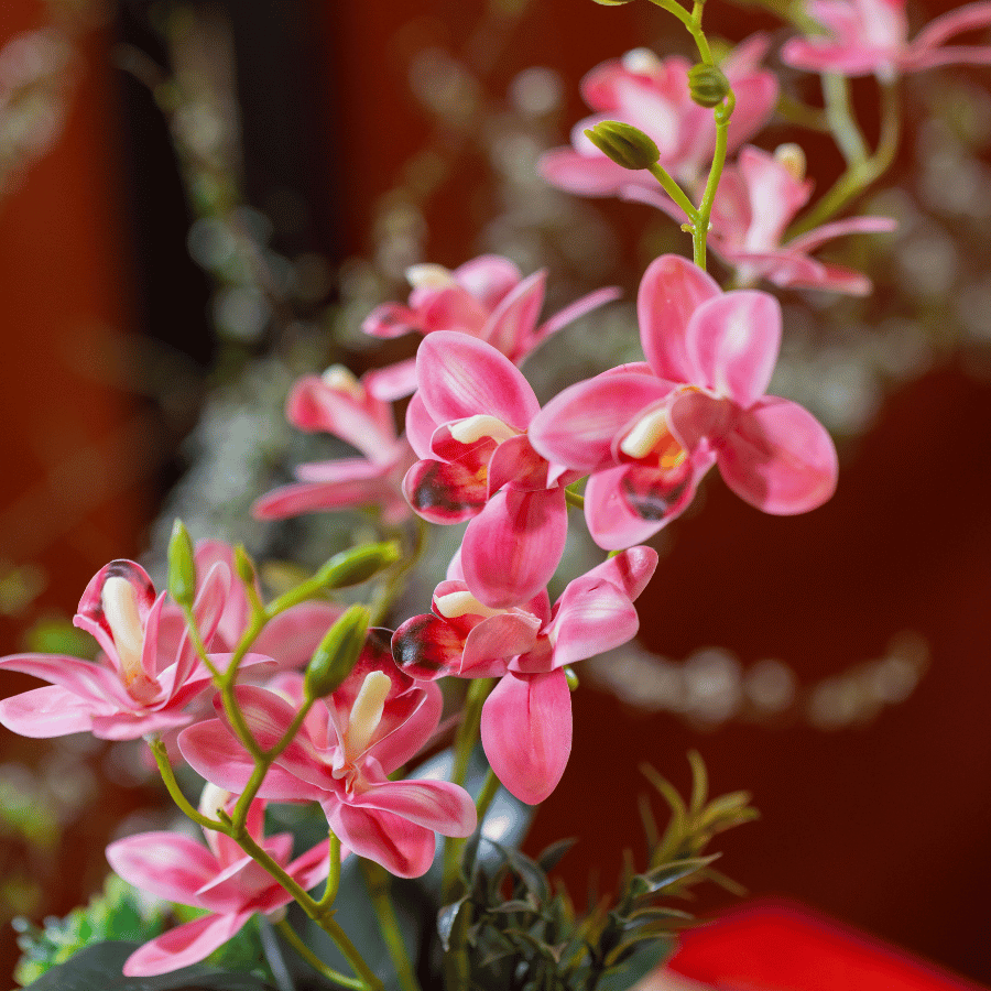  BST LAN - TIỂU HỒ ĐIỆP HỒNG ĐẬM 