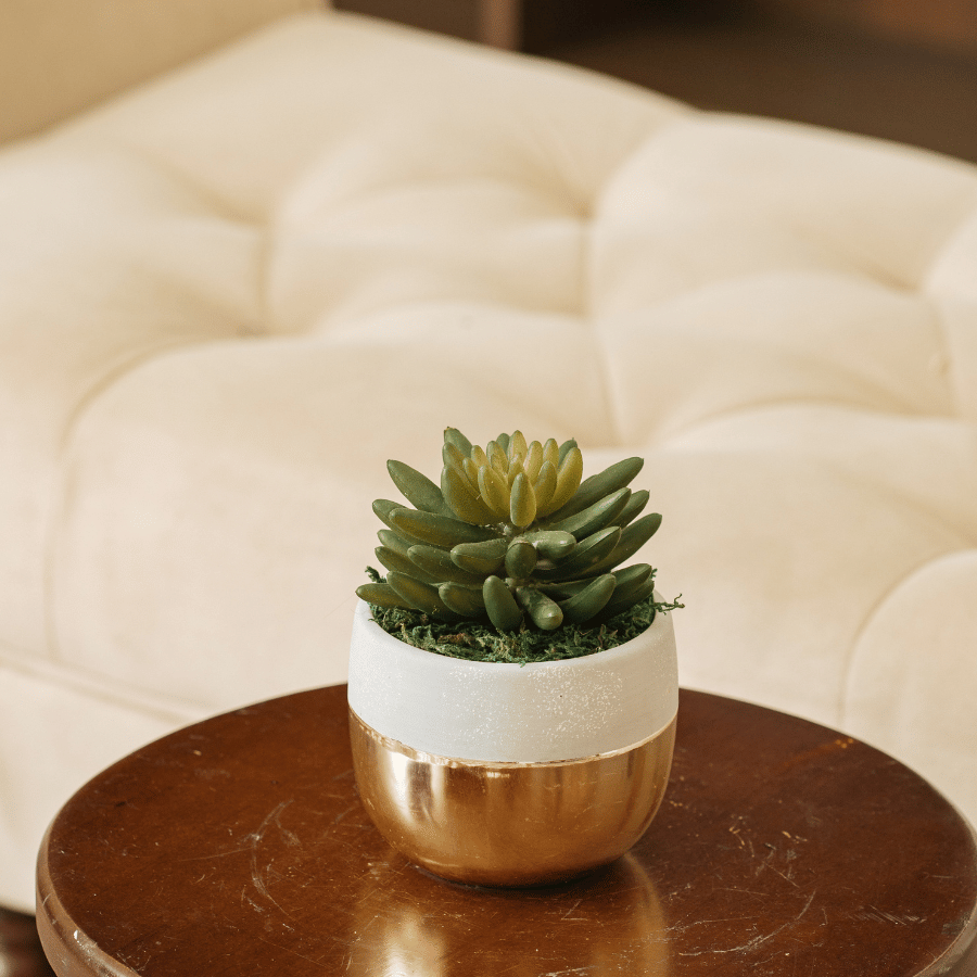  85ART - CÂY SEN ĐÁ 