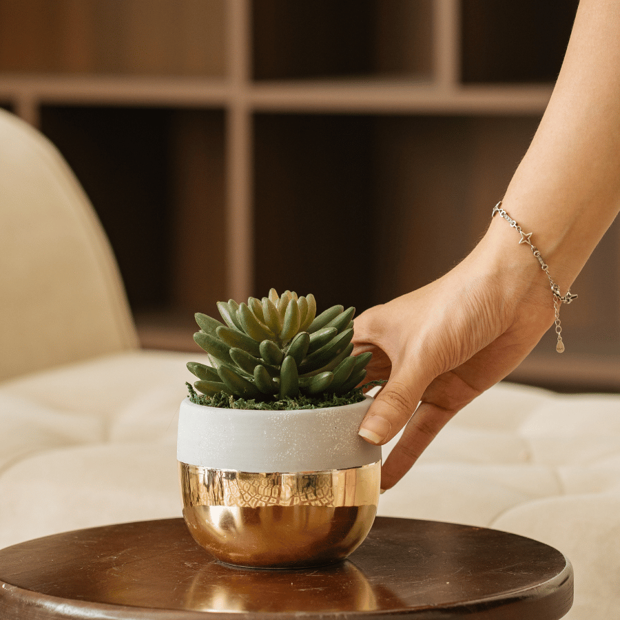  85ART - CÂY SEN ĐÁ 