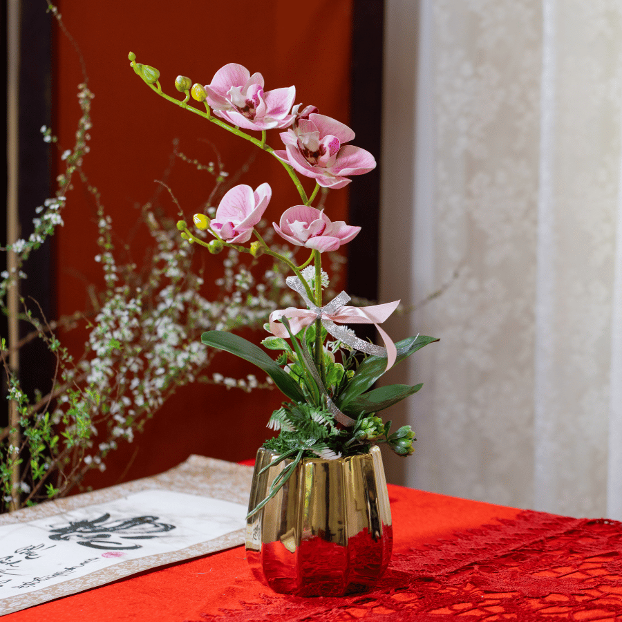  BST LAN - LAN HỒ ĐIỆP HỒNG NHẠT 