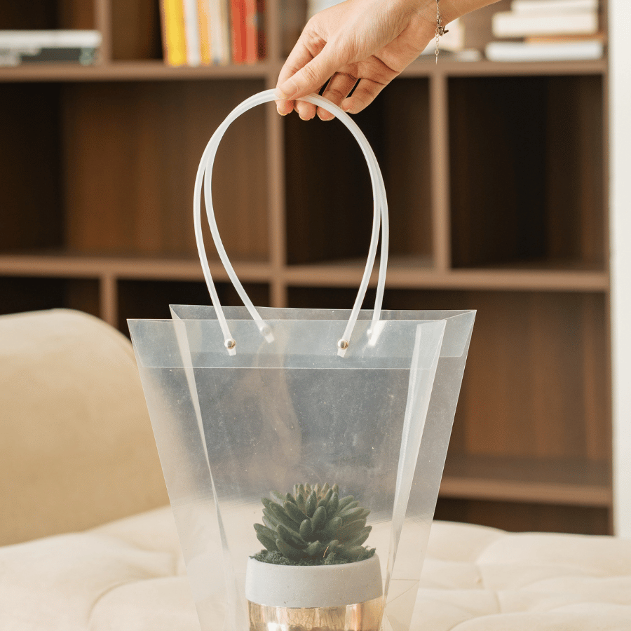  85ART - CÂY SEN ĐÁ 