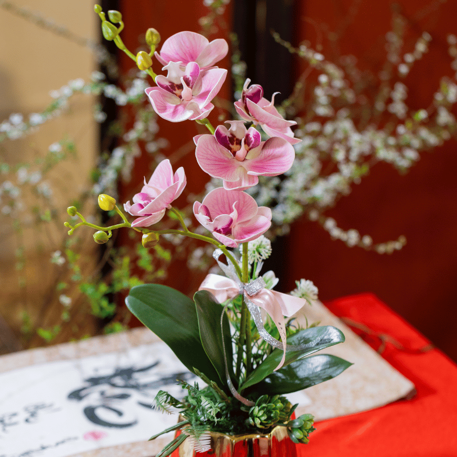  BST LAN - LAN HỒ ĐIỆP HỒNG NHẠT 