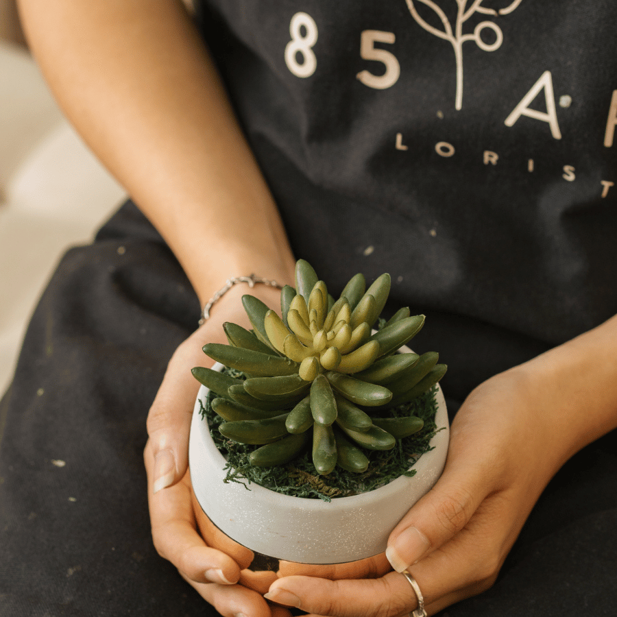  85ART - CÂY SEN ĐÁ 