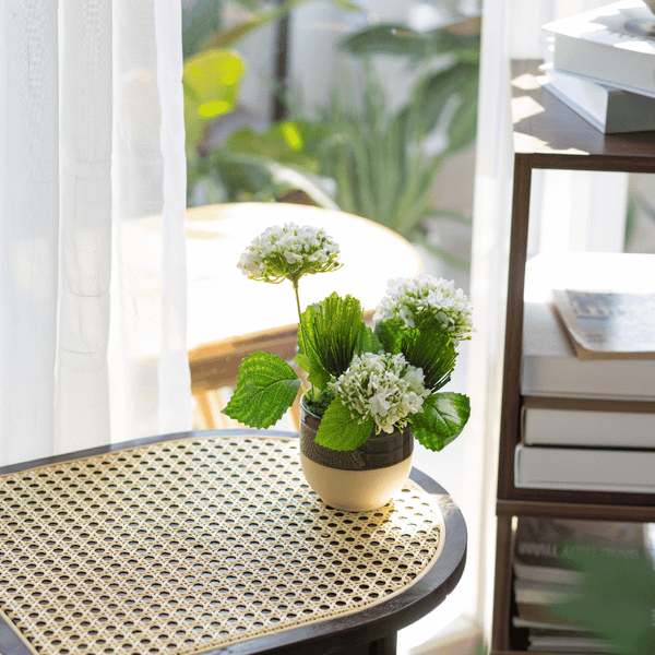  85ART - CÂY TIỂU CẨM TÚ CẦU 3 BÔNG 