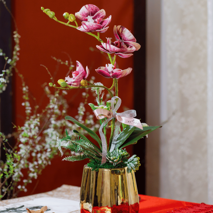  BST LAN - LAN HỒ ĐIỆP HỒNG SEN CHỊ EM 