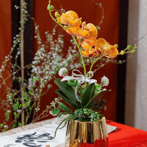  BST LAN - LAN HỒ ĐIỆP CAM CHỊ EM 