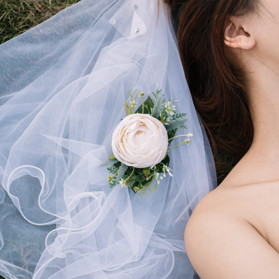  HOA CÀI ÁO - TRẮNG KEM 