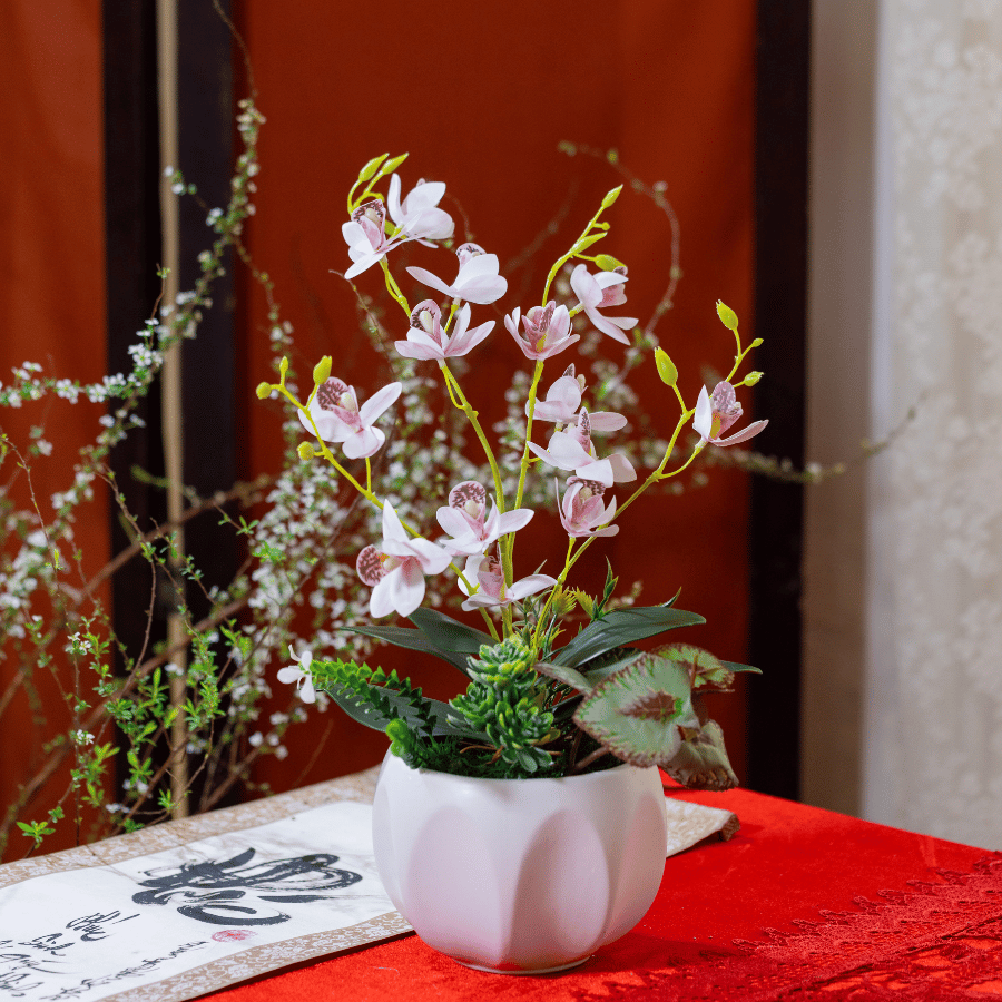  BST LAN - TIỂU HỒ ĐIỆP HỒNG TRẮNG 