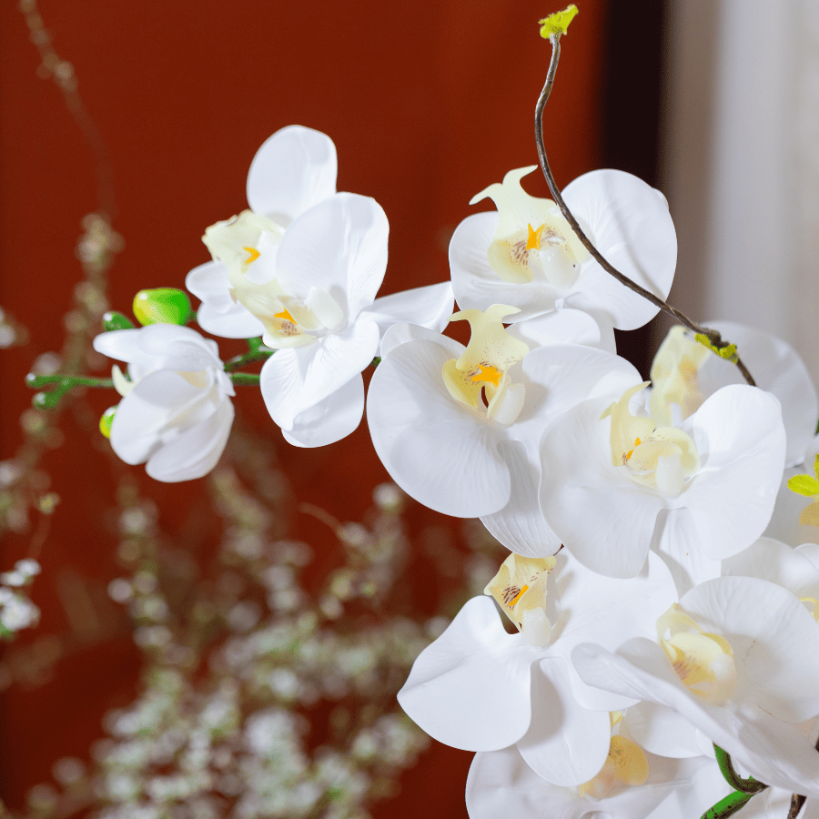  BST LAN - LAN HỒ ĐIỆP TRẮNG 3 NHÁNH 