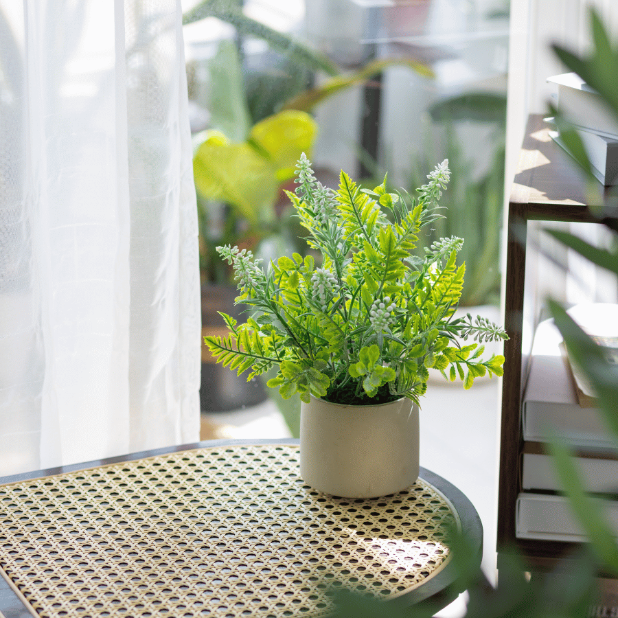  85ART - CÂY LAVENDER XANH 